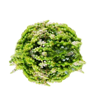 Pui Mituli (Pui Fol) - 200 gm